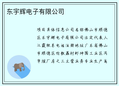 东宇辉电子有限公司