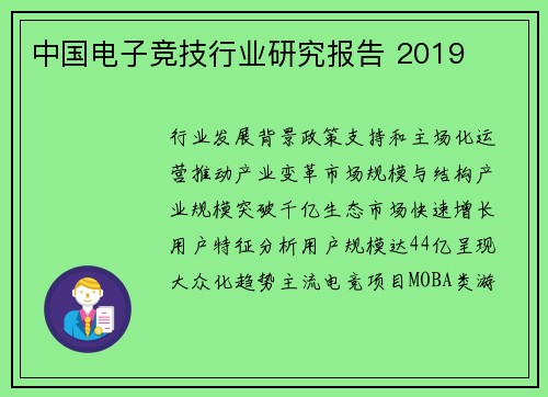 中国电子竞技行业研究报告 2019